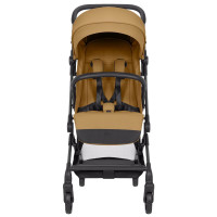 Коляска прогулочная Carrello Evo CRL- 5533