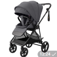 Прогулочная коляска Carrello Extra