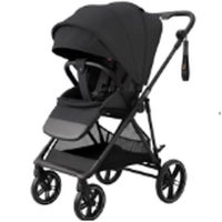 Прогулочная коляска Carrello Extra