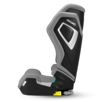 Автокресло Recaro Axion 1, гр. 2/3 (15-36 кг)