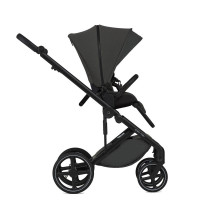 Коляска 2 в 1 Anex Mev