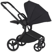 Коляска 2 в 1 Anex Flo