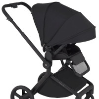 Коляска 2 в 1 Anex Flo