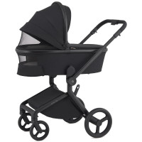 Коляска 2 в 1 Anex Flo