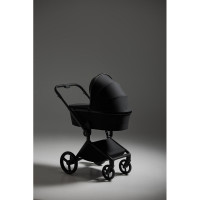 Коляска 2 в 1 Anex Flo