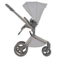 Коляска 2 в 1 Anex Flo
