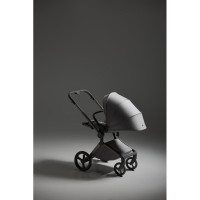 Коляска 2 в 1 Anex Flo