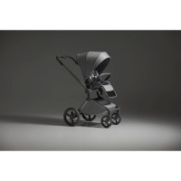 Коляска 2 в 1 Anex Flo
