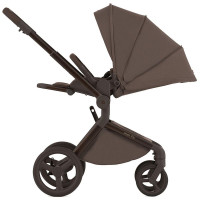 Коляска 2 в 1 Anex Flo