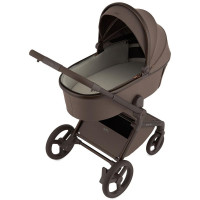 Коляска 2 в 1 Anex Flo