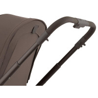 Коляска 2 в 1 Anex Flo