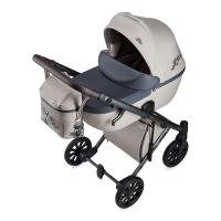 Коляска 2 в 1 Anex e/type