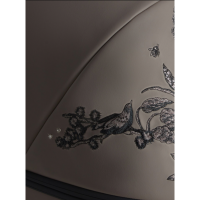 Коляска 2 в 1 Anex e/type