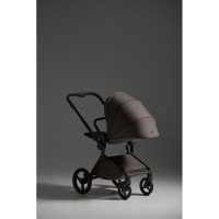 Коляска 3 в 1 Anex Flo