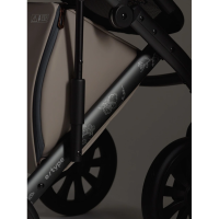 Коляска 3 в 1 Anex e/type