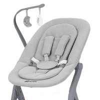 Стульчик для кормления Carrello Ergo CRL-16701 4 в 1