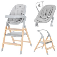 Стульчик для кормления Carrello Ergo CRL-16701 4 в 1