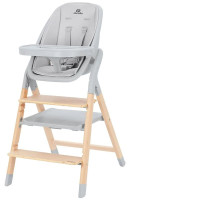 Стульчик для кормления Carrello Ergo CRL-16701 4 в 1