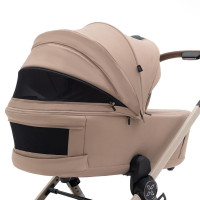 Коляска 2 в 1 Agex Prima Pro