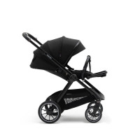 Коляска 2 в 1 Agex Prima Pro