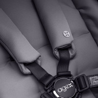 Коляска 2 в 1 Agex Prima Pro