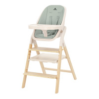 Стульчик для кормления Carrello Ergo CRL-16701 4 в 1
