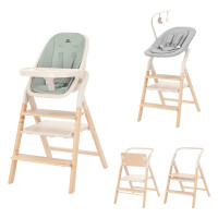 Стульчик для кормления Carrello Ergo CRL-16701 4 в 1