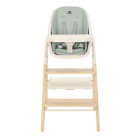 Стульчик для кормления Carrello Ergo CRL-16701 4 в 1