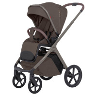 Коляска 2 в 1 Carrello Vector CRL-6553