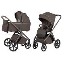 Коляска 2 в 1 Carrello Vector CRL-6553