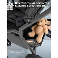 Коляска 2 в 1 Sweet Baby SBL Orso