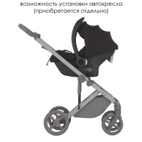 Коляска 2 в 1 Anex Eli