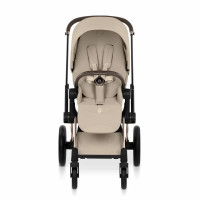 Коляска 2 в 1 Cybex Priam V Style